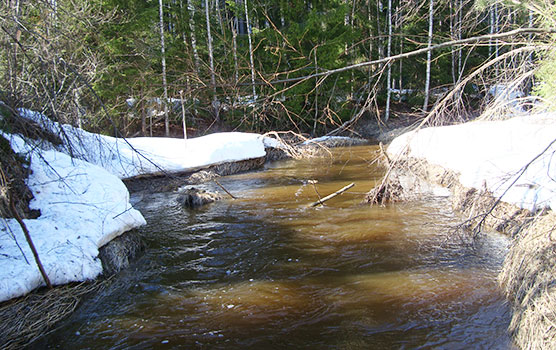 Seleznevka-river